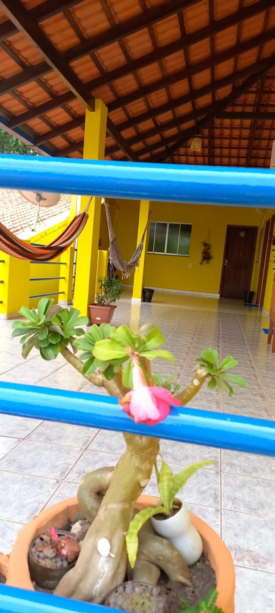 Casa Da Vila - Hospedaria - 3 Min Do Centrinho De Alter アウテル・ド・ション エクステリア 写真